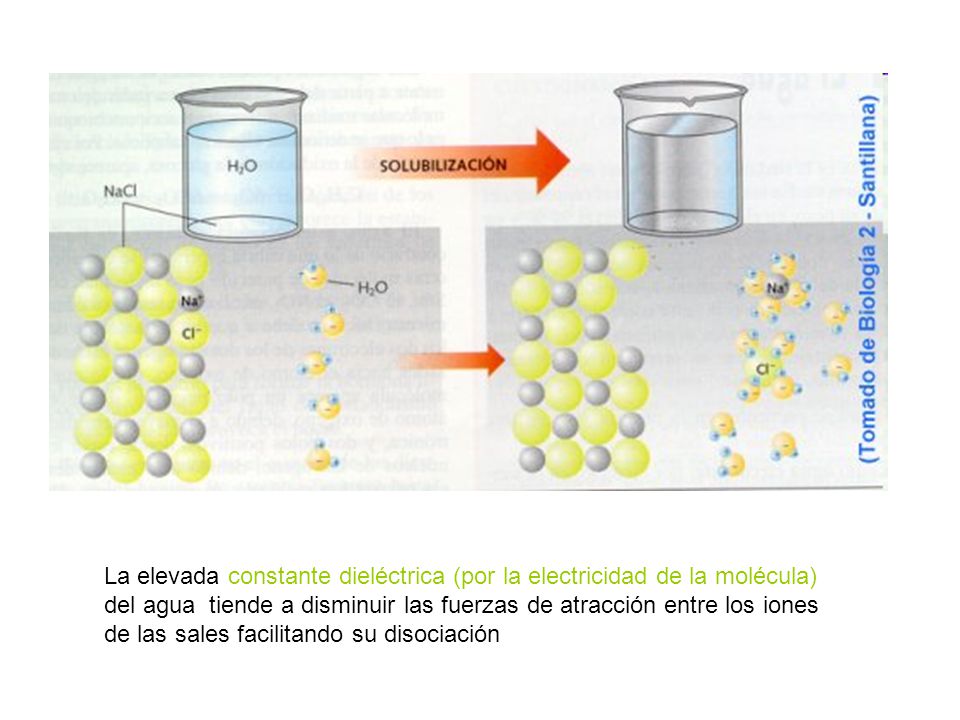 La elevada constante dieléctrica (por la electricidad de la molécula) del agua tiende a disminuir las fuerzas de atracción entre los iones de las sales facilitando su disociación