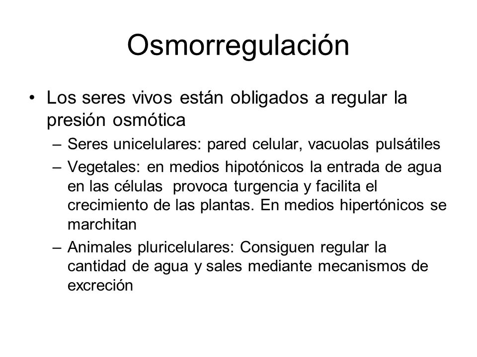 Osmorregulación Los seres vivos están obligados a regular la presión osmótica. Seres unicelulares: pared celular, vacuolas pulsátiles.