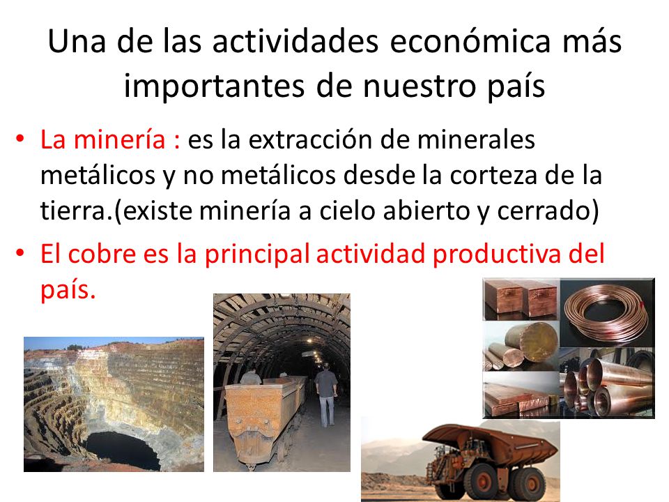 Una de las actividades económica más importantes de nuestro país