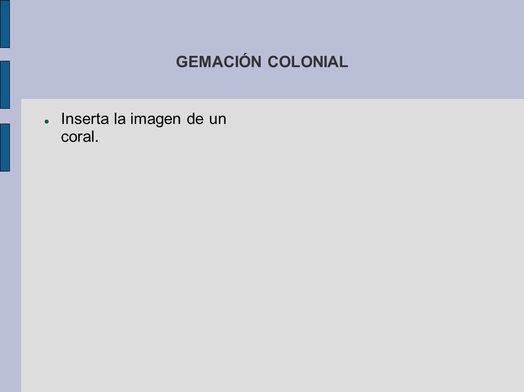 GEMACIÓN COLONIAL Inserta la imagen de un coral.