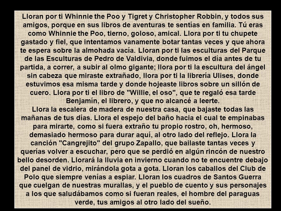 Lloran por ti Whinnie the Poo y Tigret y Christopher Robbin, y todos sus amigos, porque en sus libros de aventuras te sentías en familia. Tú eras como Whinnie the Poo, tierno, goloso, amical. Llora por ti tu chupete gastado y fiel, que intentamos vanamente botar tantas veces y que ahora te espera sobre la almohada vacía. Lloran por ti las esculturas del Parque de las Esculturas de Pedro de Valdivia, donde fuimos el día antes de tu partida, a correr, a subir al olmo gigante; llora por ti la escultura del ángel sin cabeza que miraste extrañado, llora por ti la librería Ulises, donde estuvimos esa misma tarde y donde hojeaste libros sobre un sillón de cuero. Llora por ti el libro de Willie, el oso , que te regaló esa tarde Benjamín, el librero, y que no alcancé a leerte.