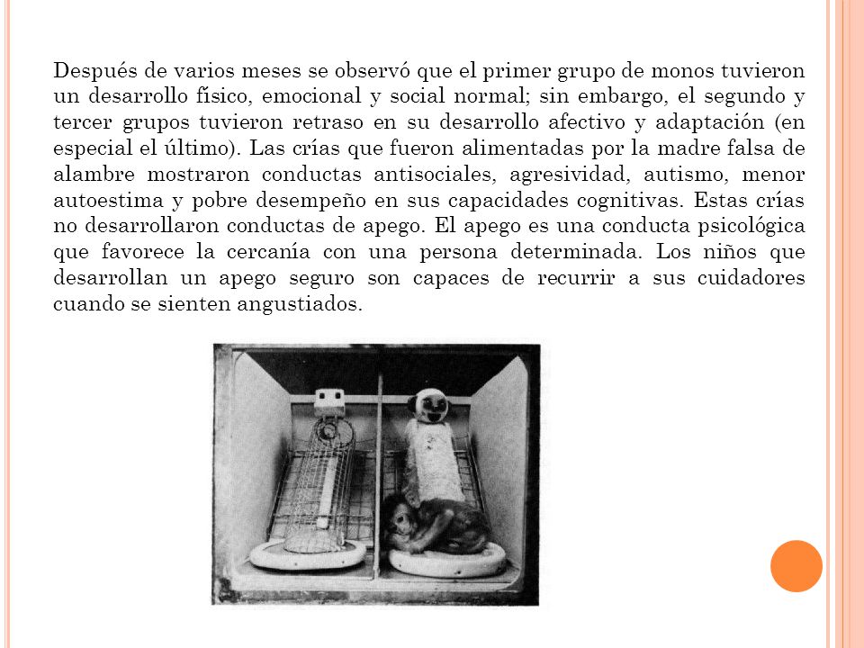 Después de varios meses se observó que el primer grupo de monos tuvieron un desarrollo físico, emocional y social normal; sin embargo, el segundo y tercer grupos tuvieron retraso en su desarrollo afectivo y adaptación (en especial el último).