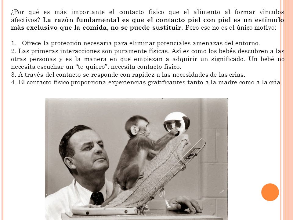 ¿Por qué es más importante el contacto físico que el alimento al formar vínculos afectivos La razón fundamental es que el contacto piel con piel es un estímulo más exclusivo que la comida, no se puede sustituir. Pero ese no es el único motivo:
