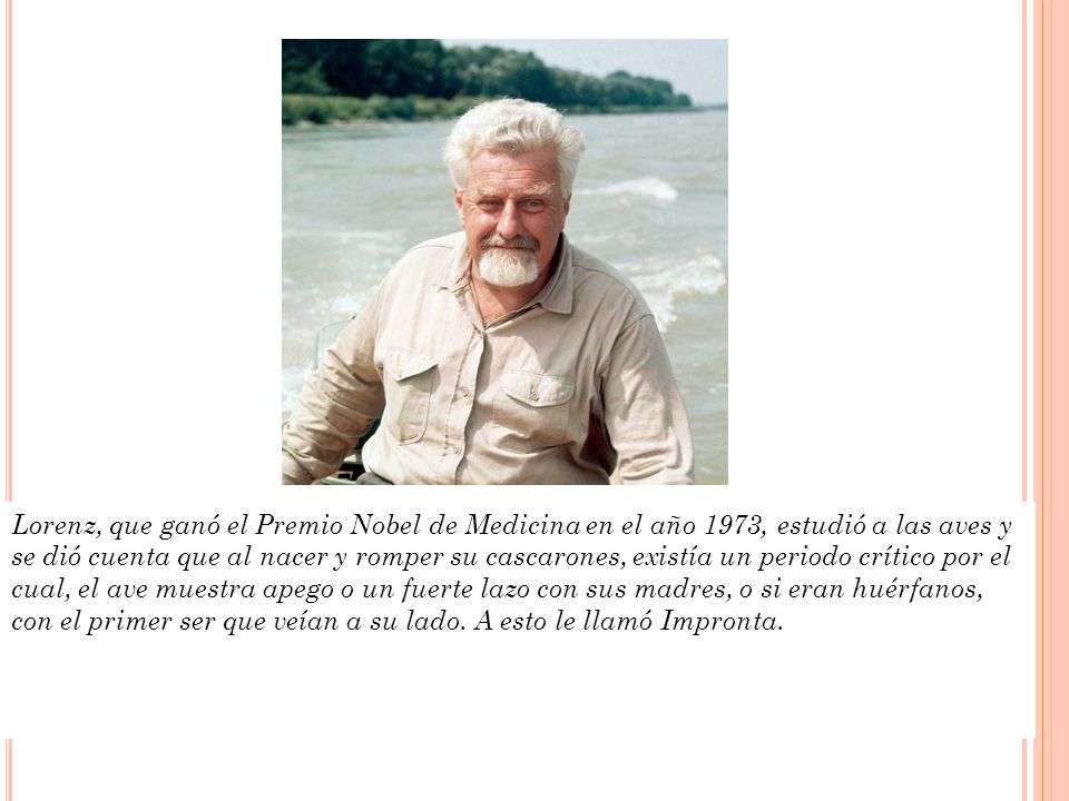 Lorenz, que ganó el Premio Nobel de Medicina en el año 1973, estudió a las aves y se dió cuenta que al nacer y romper su cascarones, existía un periodo crítico por el cual, el ave muestra apego o un fuerte lazo con sus madres, o si eran huérfanos, con el primer ser que veían a su lado.