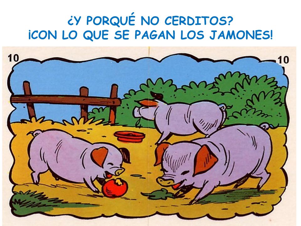 ¿Y PORQUÉ NO CERDITOS ¡CON LO QUE SE PAGAN LOS JAMONES!