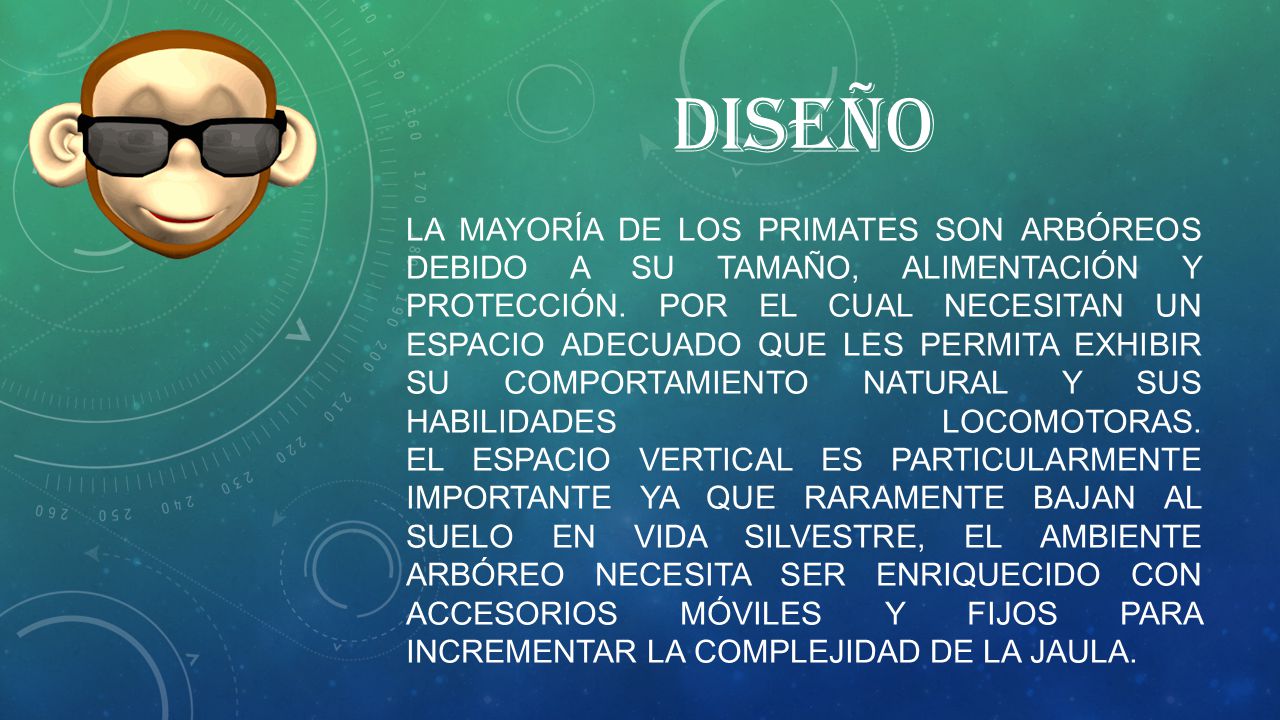 DISEÑO La mayoría de los primates son arbóreos debido a su tamaño, alimentación y protección.
