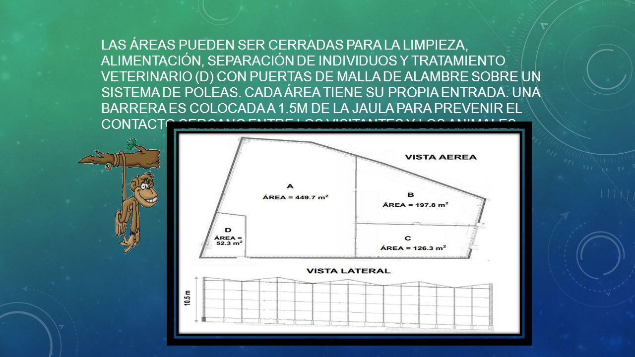 Las áreas pueden ser cerradas para la limpieza, alimentación, separación de individuos y tratamiento veterinario (D) con puertas de malla de alambre sobre un sistema de poleas.