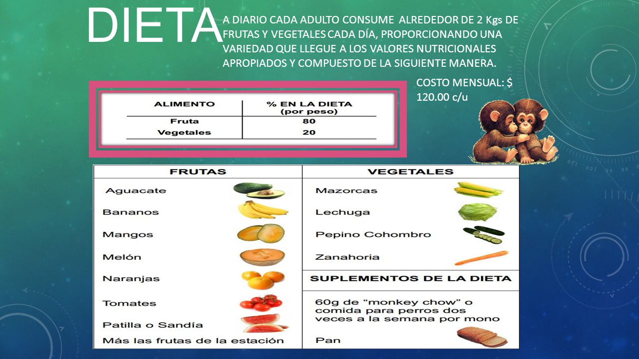 A DIARIO CADA ADULTO CONSUME ALREDEDOR DE 2 Kgs DE FRUTAS Y VEGETALES CADA DÍA, PROPORCIONANDO UNA VARIEDAD QUE LLEGUE A LOS VALORES NUTRICIONALES APROPIADOS Y COMPUESTO DE LA SIGUIENTE MANERA.
