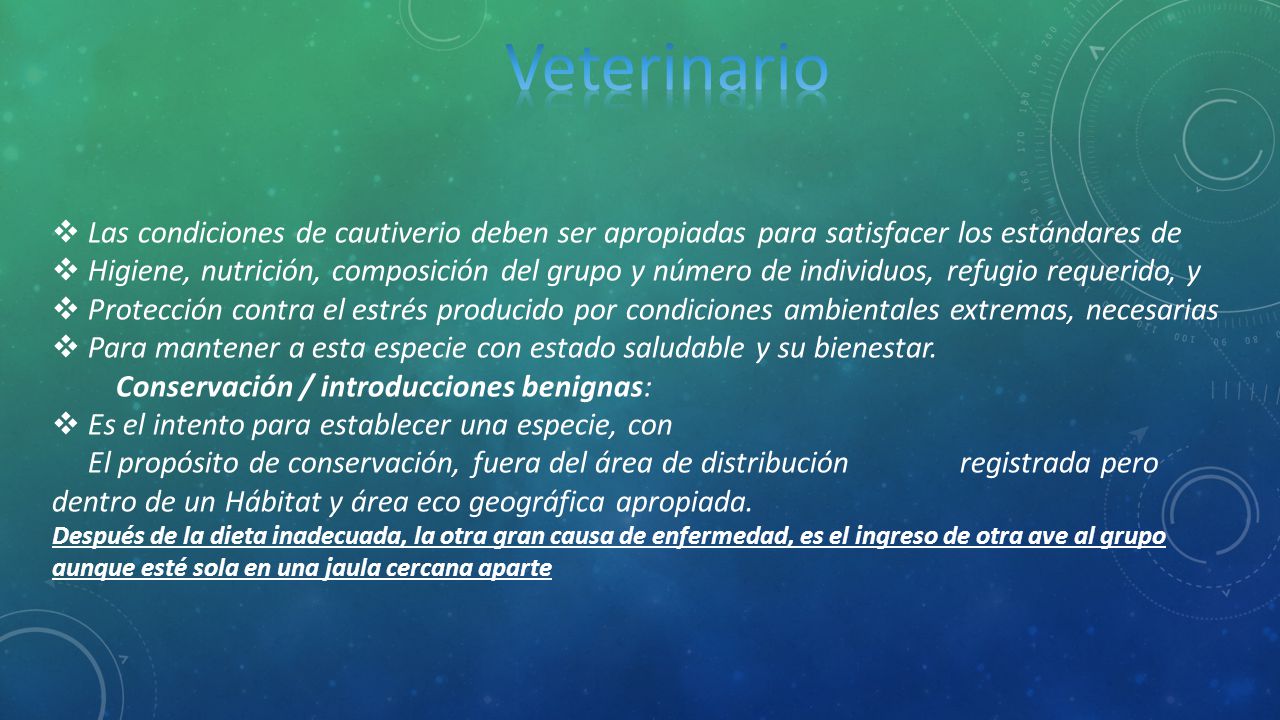Veterinario Las condiciones de cautiverio deben ser apropiadas para satisfacer los estándares de.