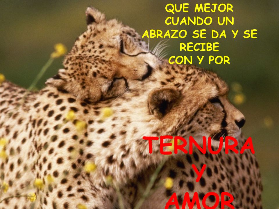 QUE MEJOR CUANDO UN ABRAZO SE DA Y SE RECIBE
