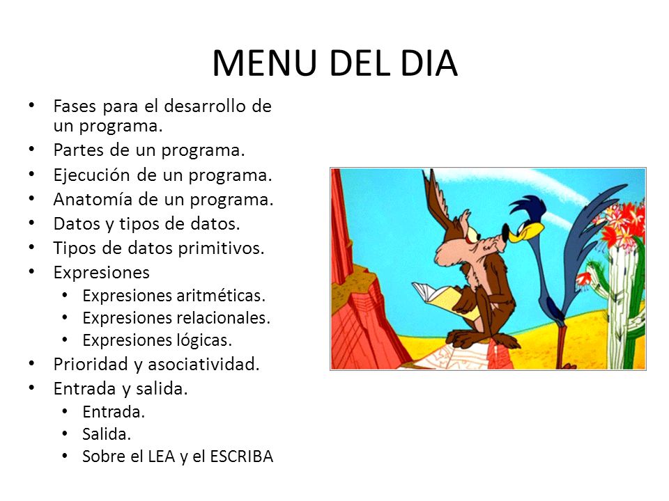 MENU DEL DIA Fases para el desarrollo de un programa.