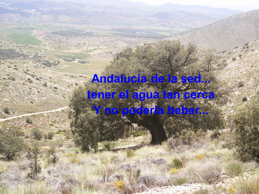 Andalucía de la sed... tener el agua tan cerca Y no poderla beber...
