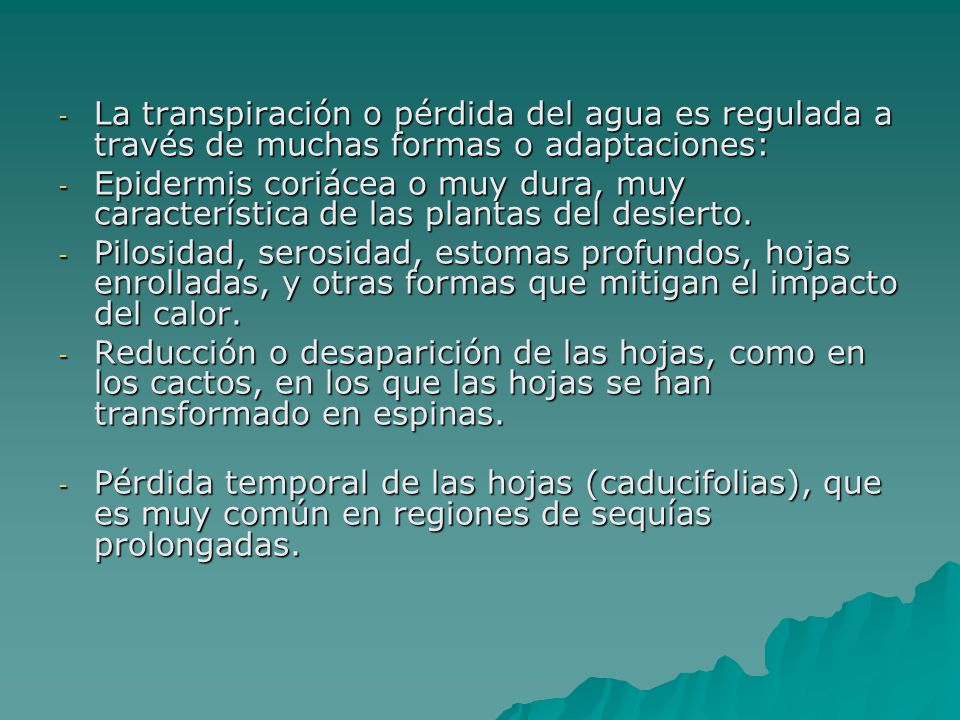 La transpiración o pérdida del agua es regulada a través de muchas formas o adaptaciones:
