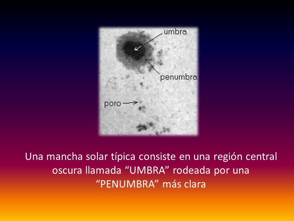 Una mancha solar típica consiste en una región central oscura llamada UMBRA rodeada por una PENUMBRA más clara