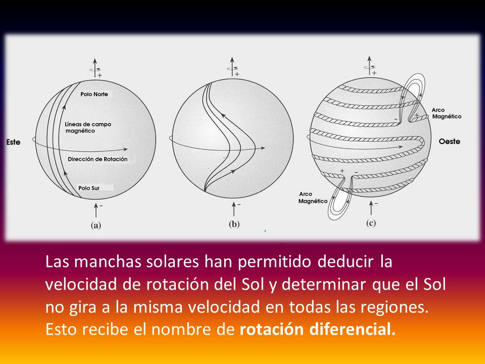 Las manchas solares han permitido deducir la velocidad de rotación del Sol y determinar que el Sol no gira a la misma velocidad en todas las regiones.