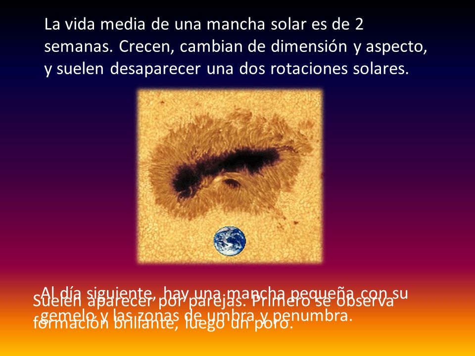 La vida media de una mancha solar es de 2 semanas