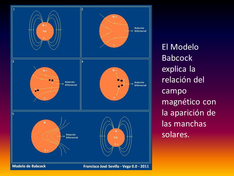 El Modelo Babcock explica la relación del campo magnético con la aparición de las manchas solares.