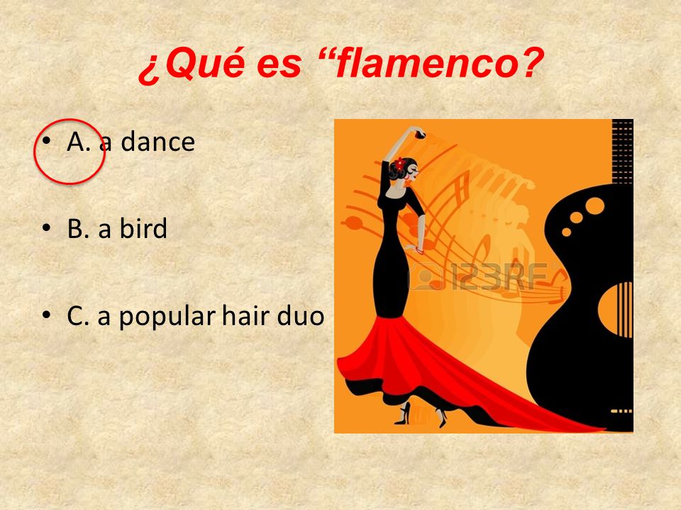 ¿Qué es flamenco A. a dance B. a bird C. a popular hair duo