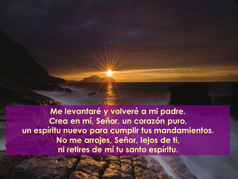 Me levantaré y volveré a mi padre. Crea en mí, Señor, un corazón puro,