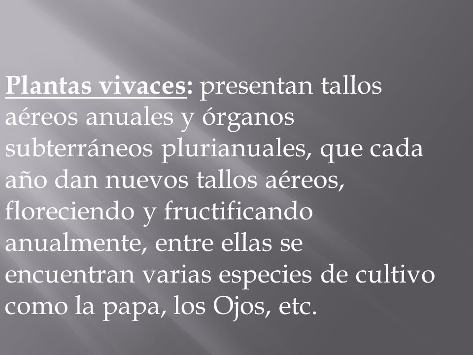 Plantas vivaces: presentan tallos aéreos anuales y órganos subterráneos plurianuales, que cada año dan nuevos tallos aéreos, floreciendo y fructificando anualmente, entre ellas se encuentran varias especies de cultivo como la papa, los Ojos, etc.
