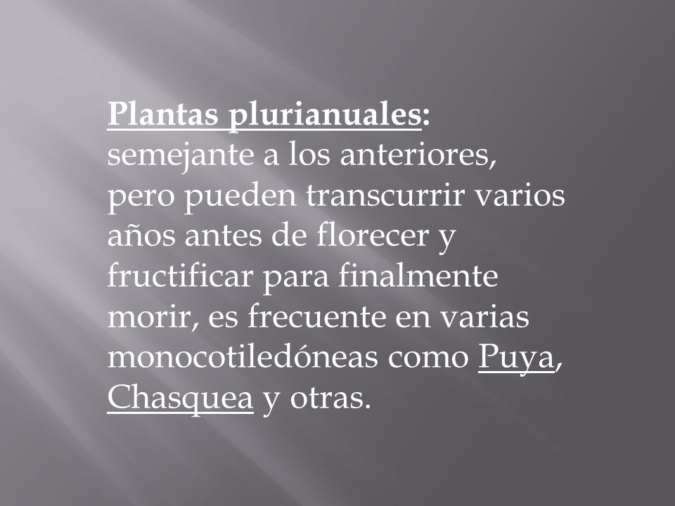 Plantas plurianuales: semejante a los anteriores, pero pueden transcurrir varios años antes de florecer y fructificar para finalmente morir, es frecuente en varias monocotiledóneas como Puya, Chasquea y otras.
