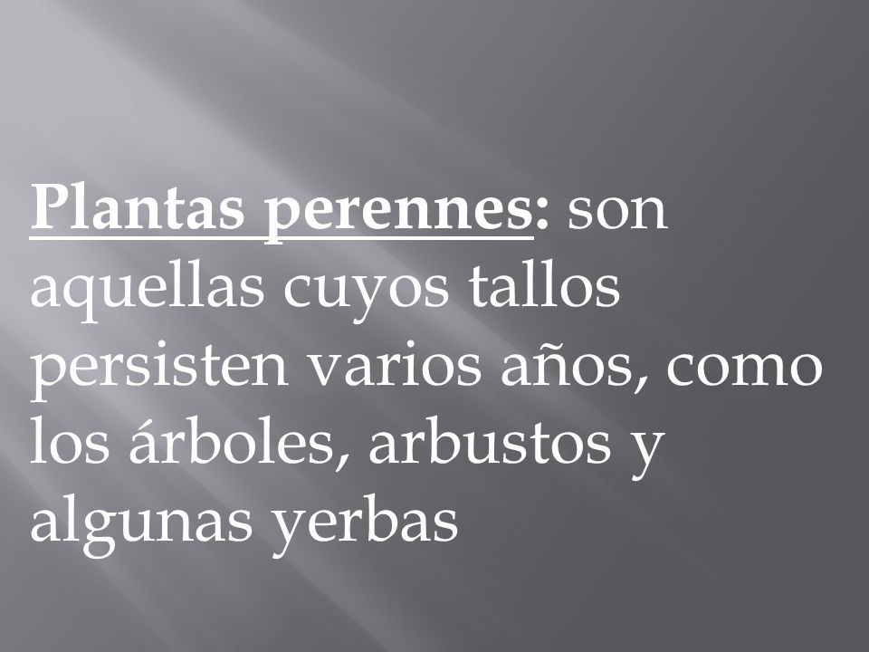 Plantas perennes: son aquellas cuyos tallos persisten varios años, como los árboles, arbustos y algunas yerbas