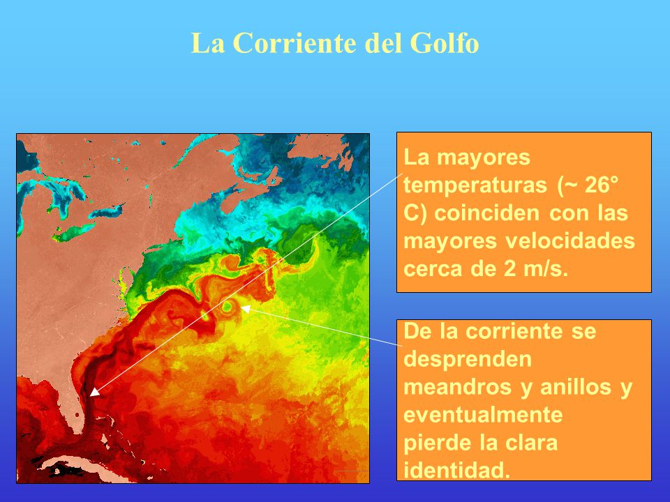 La Corriente del Golfo La mayores temperaturas (~ 26° C) coinciden con las mayores velocidades cerca de 2 m/s.
