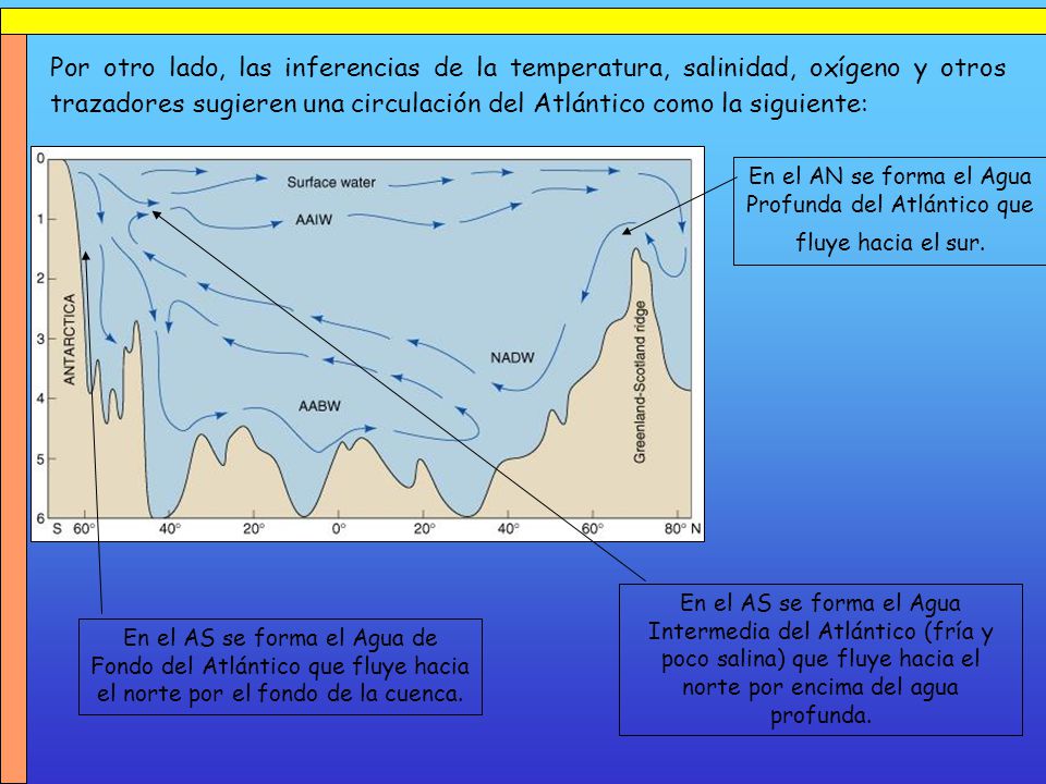 Por otro lado, las inferencias de la temperatura, salinidad, oxígeno y otros trazadores sugieren una circulación del Atlántico como la siguiente: