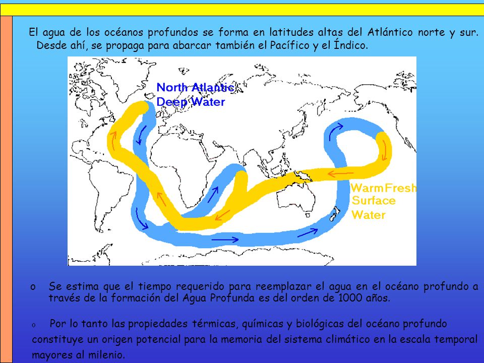 El agua de los océanos profundos se forma en latitudes altas del Atlántico norte y sur. Desde ahí, se propaga para abarcar también el Pacífico y el Índico.
