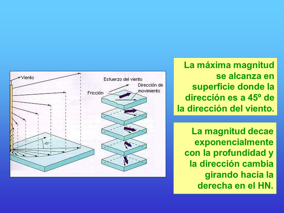 La máxima magnitud se alcanza en superficie donde la dirección es a 45º de la dirección del viento.