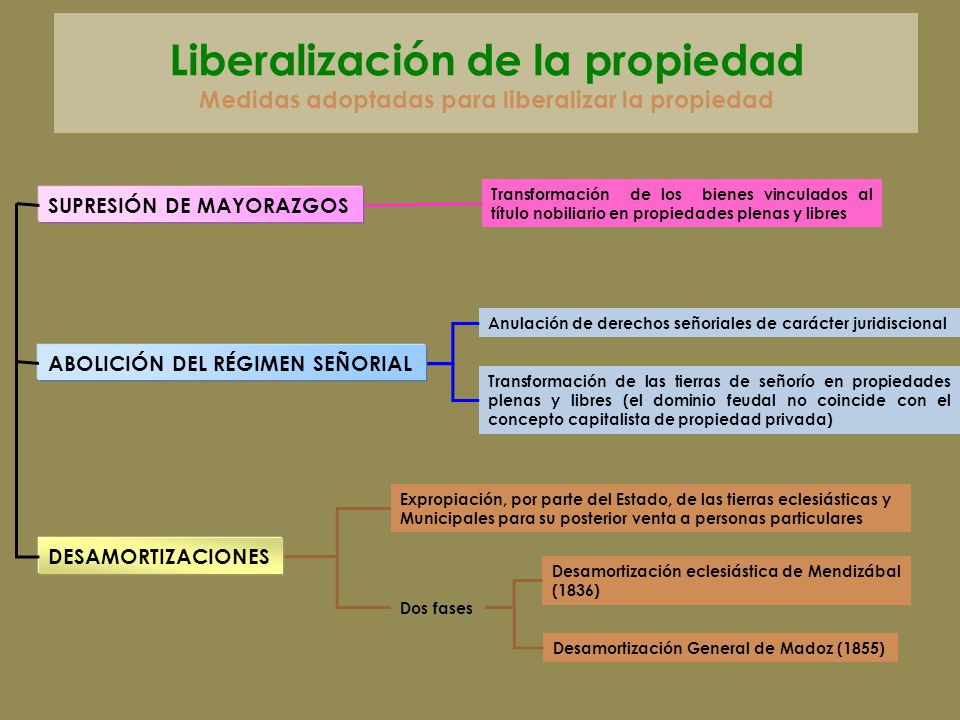 Liberalización de la propiedad Medidas adoptadas para liberalizar la propiedad