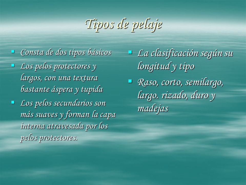 Tipos de pelaje La clasificación según su longitud y tipo