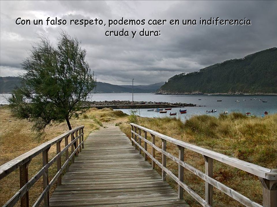 Con un falso respeto, podemos caer en una indiferencia cruda y dura: