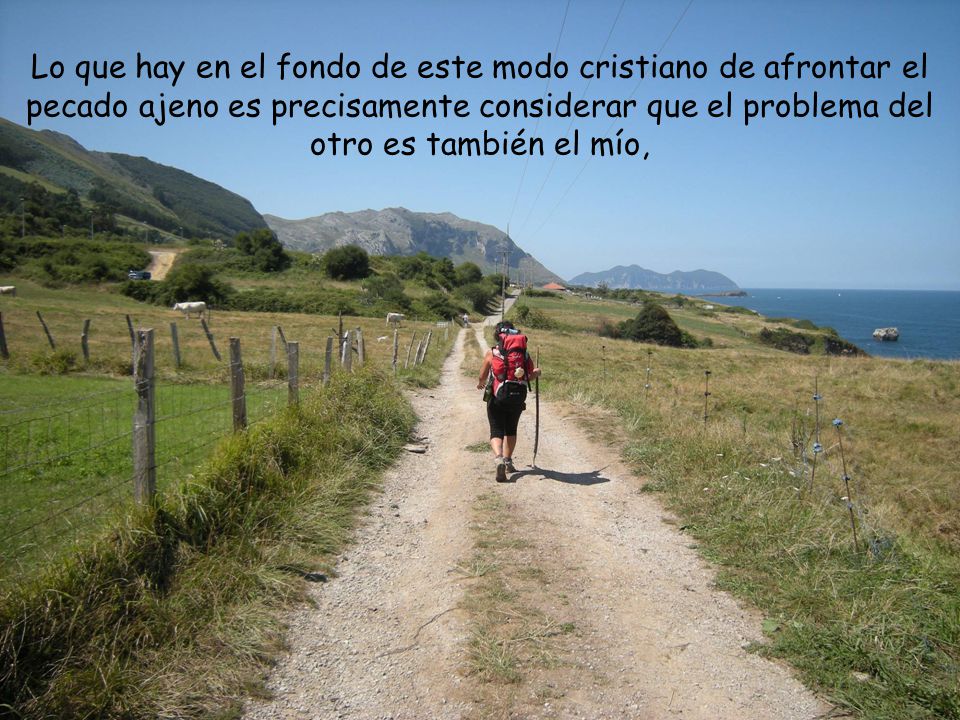 Lo que hay en el fondo de este modo cristiano de afrontar el pecado ajeno es precisamente considerar que el problema del otro es también el mío,