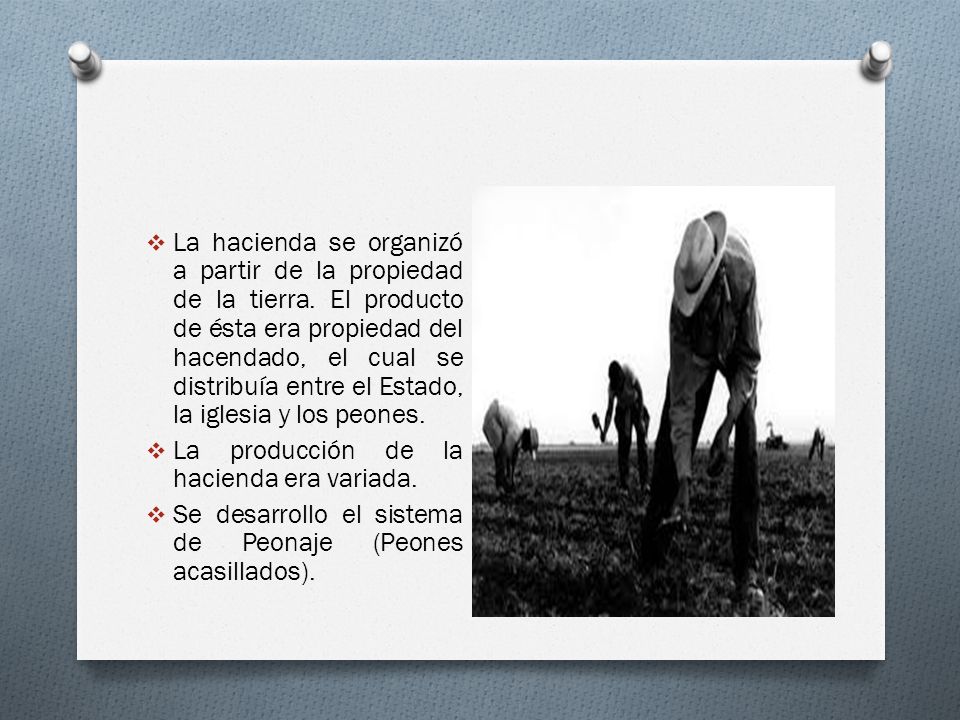 La hacienda se organizó a partir de la propiedad de la tierra