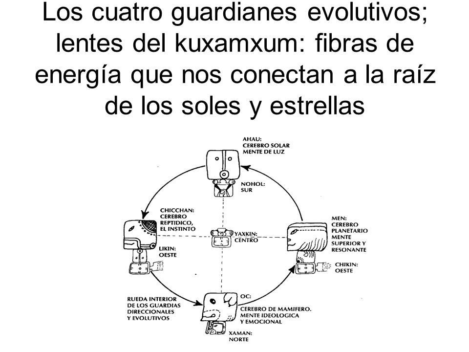 Los cuatro guardianes evolutivos; lentes del kuxamxum: fibras de energía que nos conectan a la raíz de los soles y estrellas