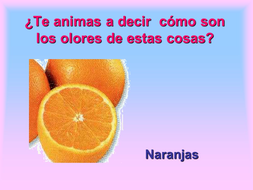 ¿Te animas a decir cómo son los olores de estas cosas