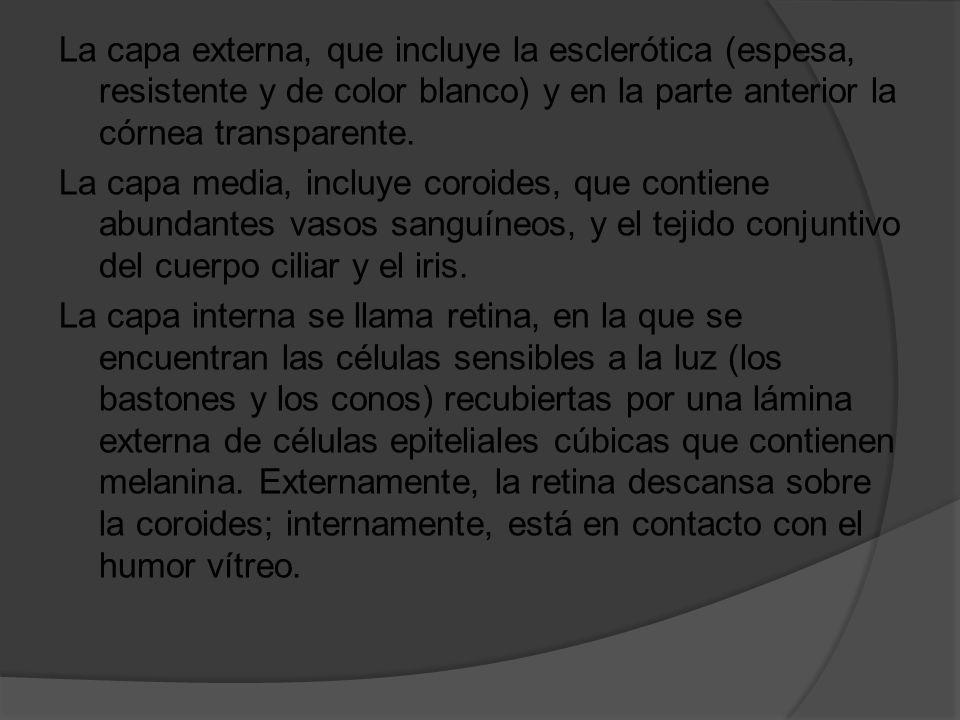La capa externa, que incluye la esclerótica (espesa, resistente y de color blanco) y en la parte anterior la córnea transparente.