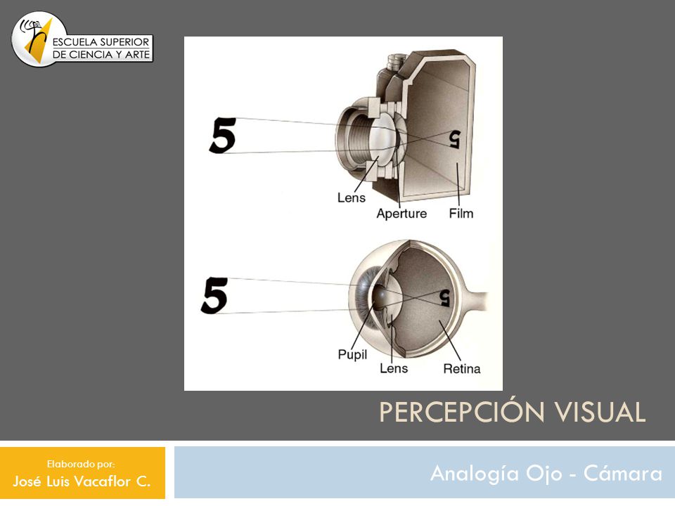 Percepción visual Analogía Ojo - Cámara José Luis Vacaflor C.