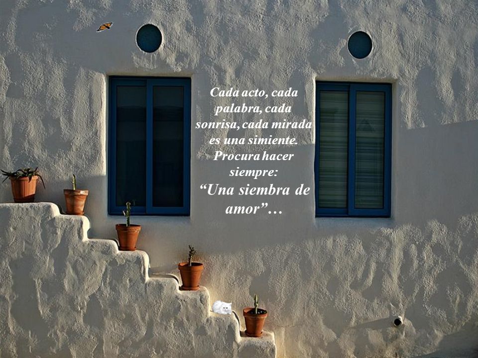 Cada acto, cada palabra, cada sonrisa, cada mirada es una simiente