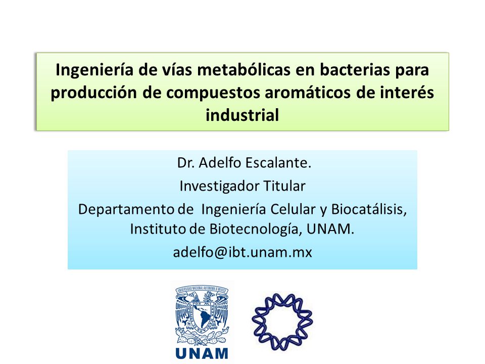 Ingeniería de vías metabólicas en bacterias para producción de compuestos aromáticos de interés industrial