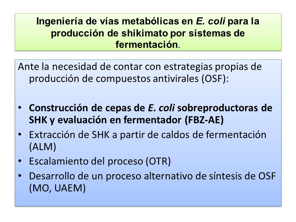 Extracción de SHK a partir de caldos de fermentación (ALM)