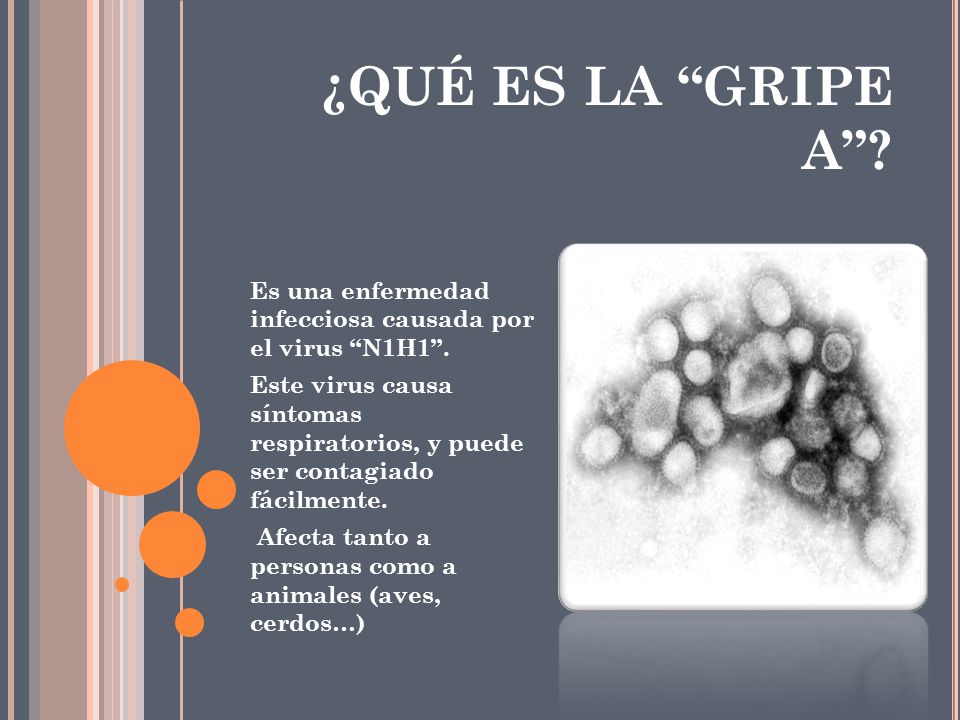 ¿QUÉ ES LA GRIPE A Es una enfermedad infecciosa causada por el virus N1H1 .