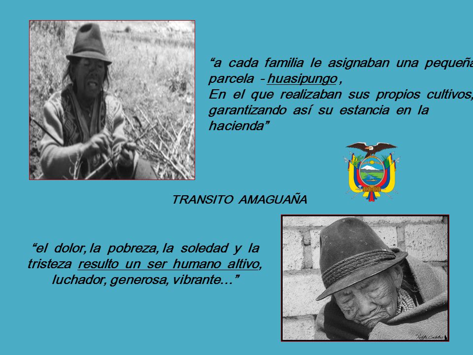 a cada familia le asignaban una pequeña parcela - huasipungo ,