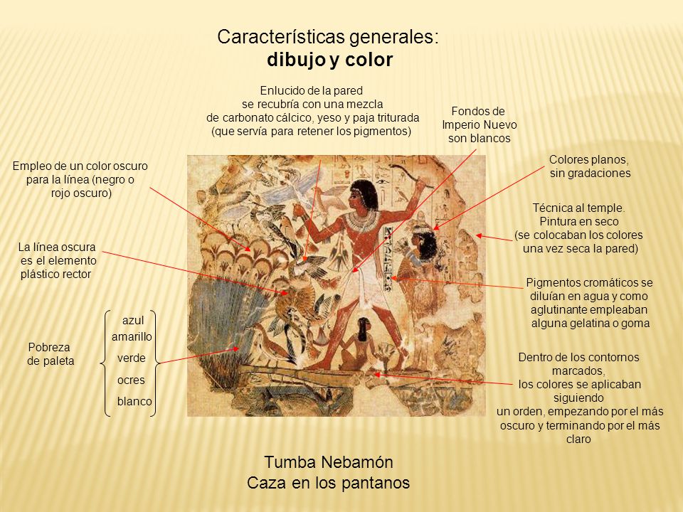 Características generales: dibujo y color