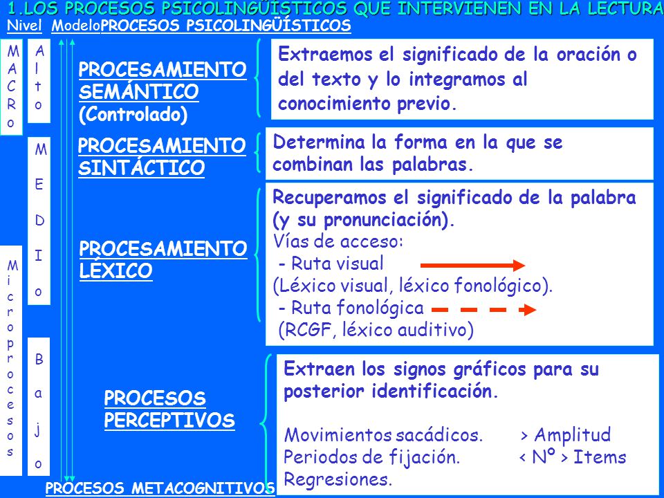 Determina la forma en la que se combinan las palabras.