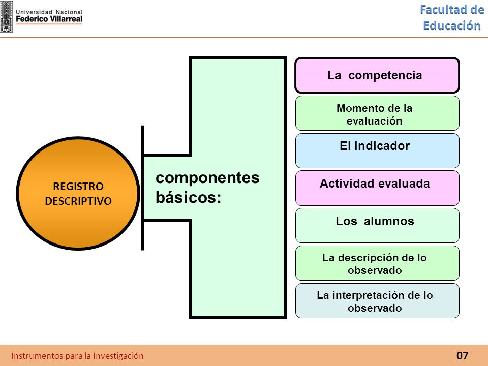 componentes básicos: Facultad de Educación La competencia El indicador