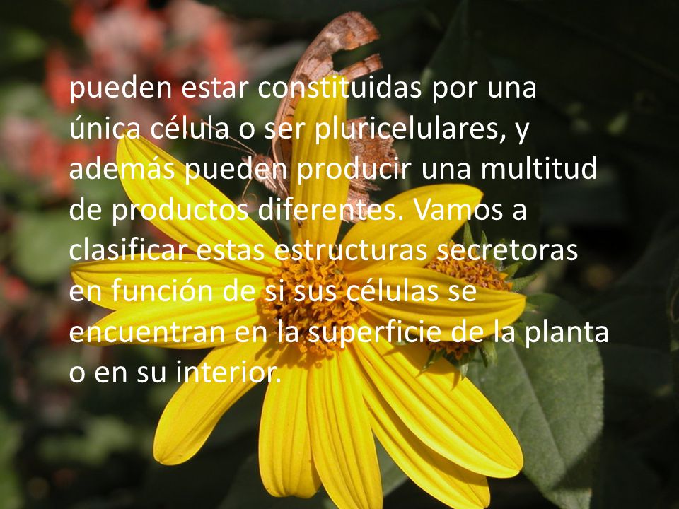 pueden estar constituidas por una única célula o ser pluricelulares, y además pueden producir una multitud de productos diferentes.