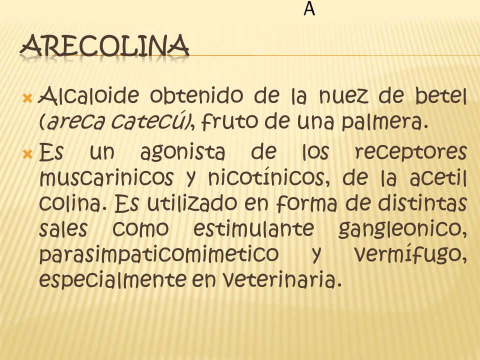 A Arecolina. Alcaloide obtenido de la nuez de betel (areca catecú), fruto de una palmera.