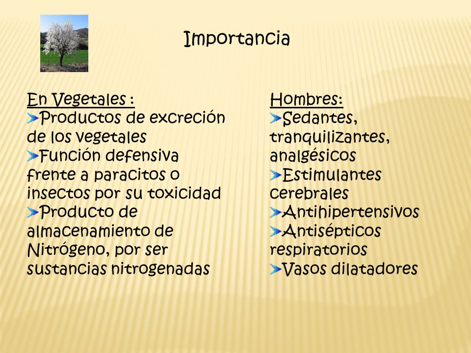 Importancia En Vegetales : Productos de excreción de los vegetales